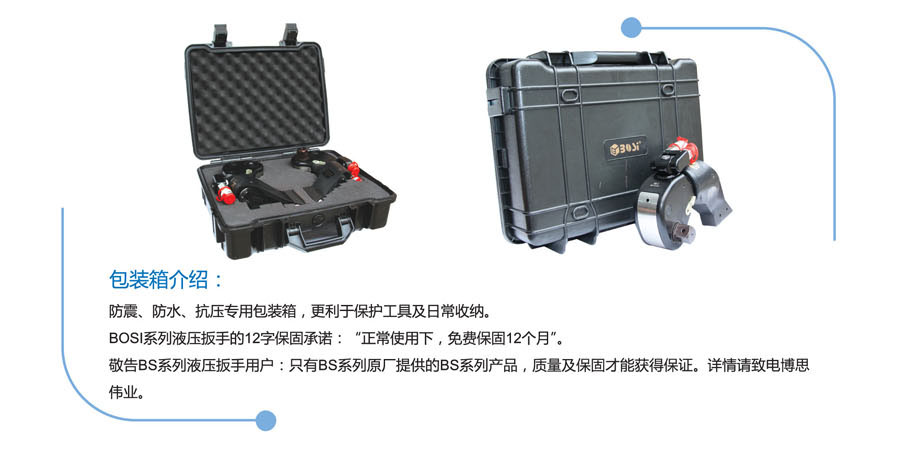 BS系列液压扳手(图2)